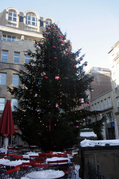 елка на площади Кельна Кёльн, Германия