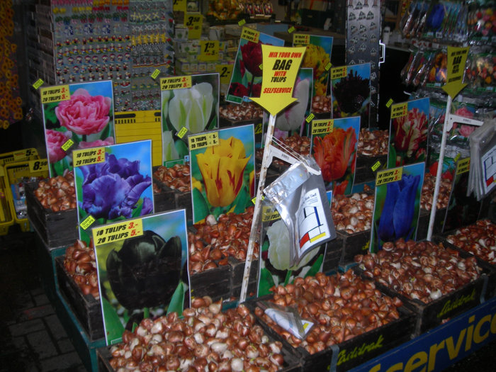 Рынок цветов Амстердам, Нидерланды