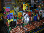 Рынок цветов