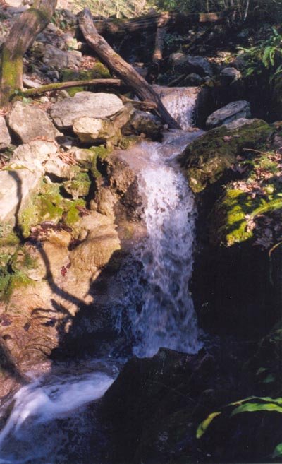 33 водопад — 1,5 м Сочи, Россия