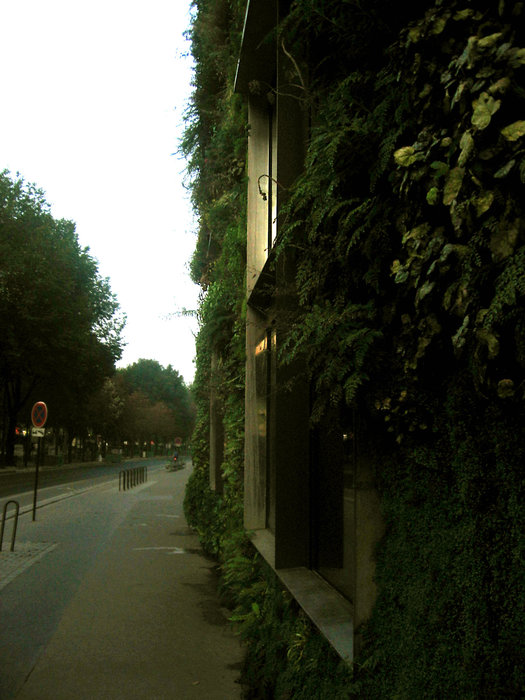 Вертикальный сад музея на набережной Бранли Париж, Франция