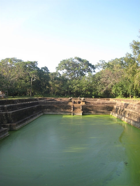 Древние бассейны, в настоящее время это место обитания черепах. Анурадхапура, Шри-Ланка