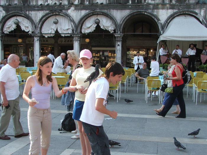 Люди и голуби Венеция, Италия