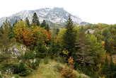 Осень в горах Дурмитор