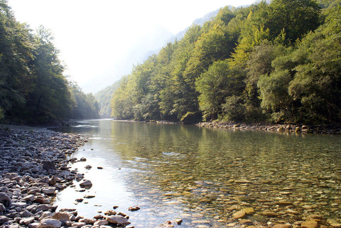 Река Тара Область Жабляк, Черногория