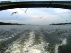 Волга и Ярославль сквозь арку моста