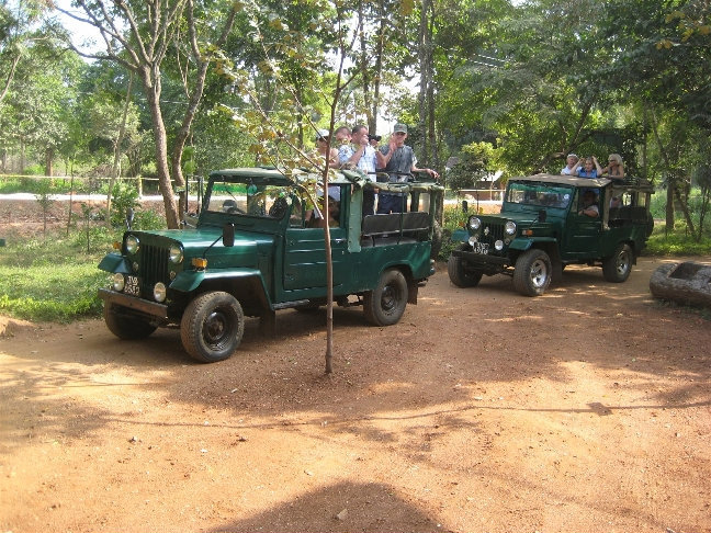 Кроме нас на сафари ехало еще 3 машины Центральная провинция, Шри-Ланка