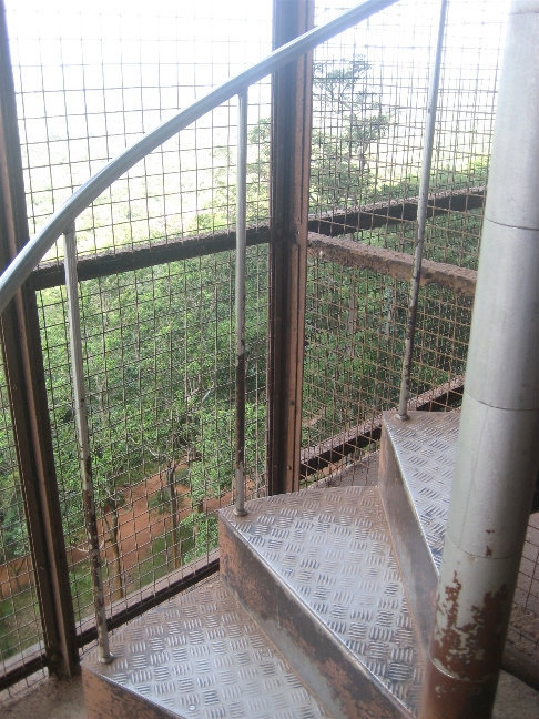 Винтовая лестница Сигирия, Шри-Ланка