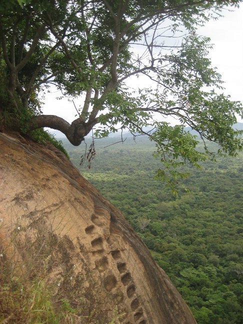 Вершина Сигирия, Шри-Ланка