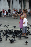 голуби на площади Сан-Марко