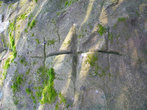 38. Кресты и углубления на одном из камней рядом с дольменной группой