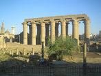 колонны Луксорского храма