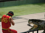 Шоу крокодилов в зоопарке Пхукета