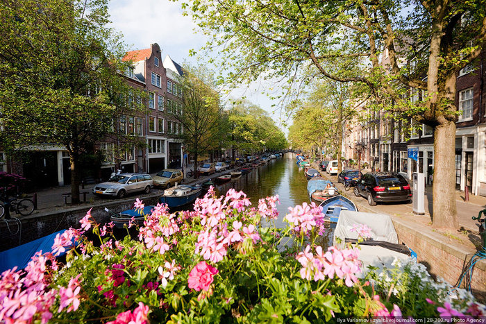 Амстердам-Радость Амстердам, Нидерланды