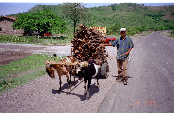 Дорога с козами Гватемала