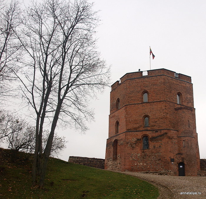 А неподалеку от кафедрального собора стоит Замковая гора, где как раз Гедиминас построил свой Верхний замок. Вильнюс, Литва
