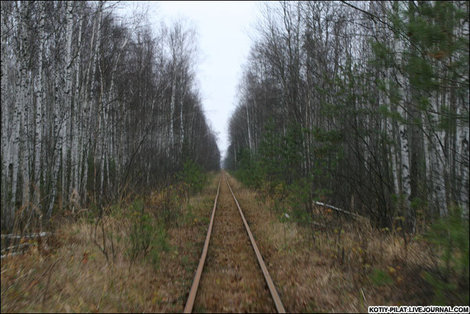 Лес и рельсы Тума, Россия