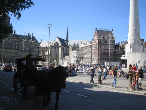 Как в каждом уважающем себя туристическом городе, здесь по центру также бегают лошади Амстердам, Нидерланды