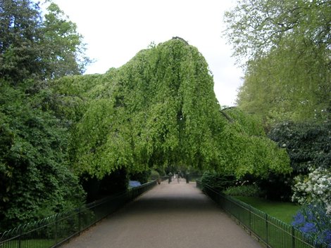 Это тоже где-то в Кенсингтонских садах Лондон, Великобритания
