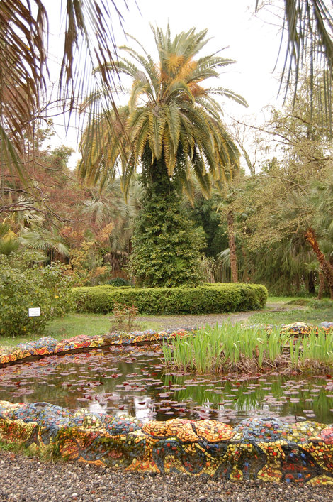 Сухумский ботанический сад / Hortus Botanicus