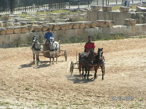 Гонки колесниц Провинция Амман, Иордания