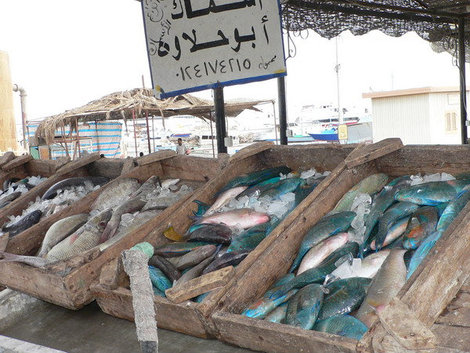 Рыбный рынок в Хургаде. Египет