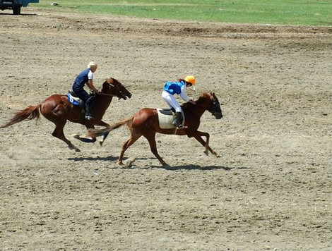 конные скачки Республика Алтай, Россия