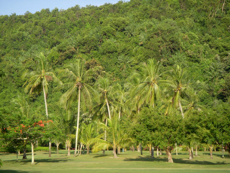 Вид на поле для гольфа Штат Сабах, Малайзия