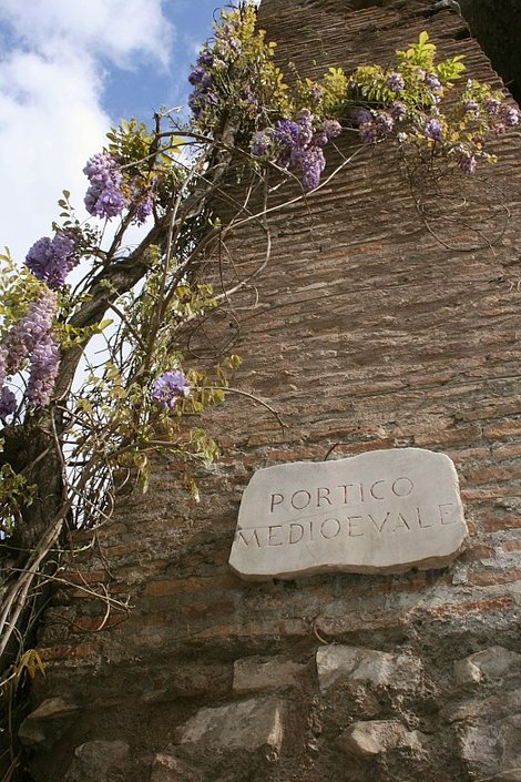 Римский форум - эстетика руин Рим, Италия