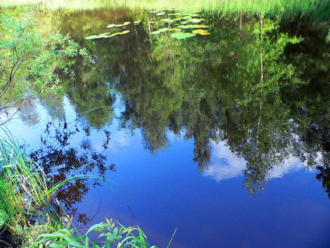 Отражение в озере. Республика Карелия, Россия