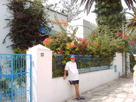 Бело-голубой город Сиди-Бу-Саид Тунис