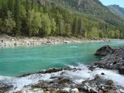 Приток Катуни — река Казнахта. Республика Алтай, Россия