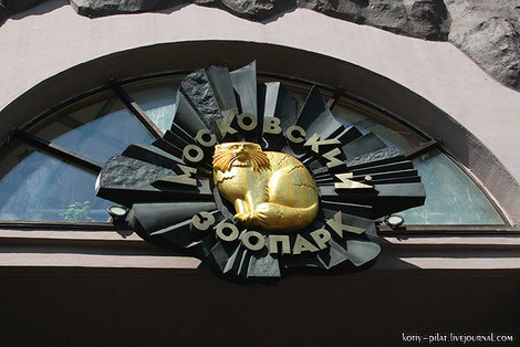 Логотип зоопарка — манул Москва, Россия