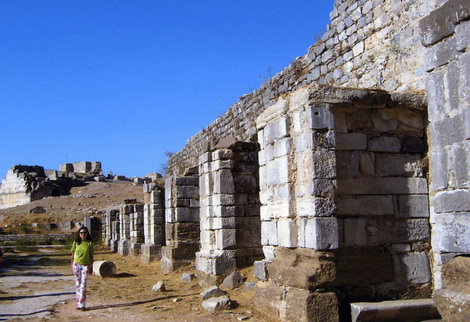 Экскурсия в древний город Милет Эгейский регион, Турция