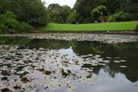 Королевский ботанический сад Мельбурна Мельбурн, Австралия