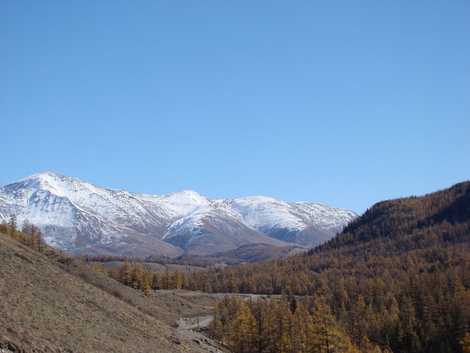 Долина реки Джазатор Республика Алтай, Россия