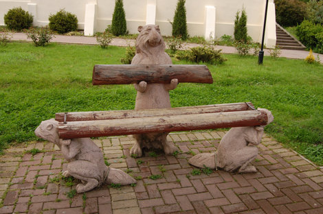 Бобры в парке Сочи, Россия