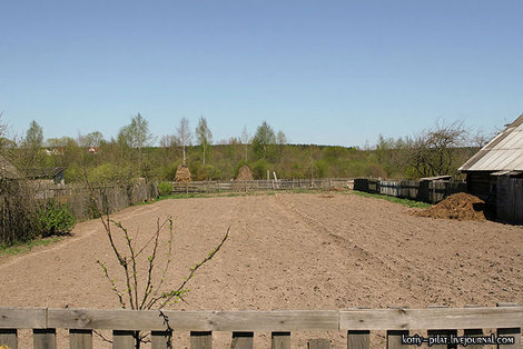 Огород под картошку Минск и область, Беларусь