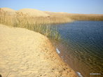 Оазис Сива. Пустыня. Холодное озеро