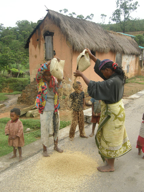 Фотоальбом — Путешествие на Мадагаскар  Часть 5 Мадагаскар
