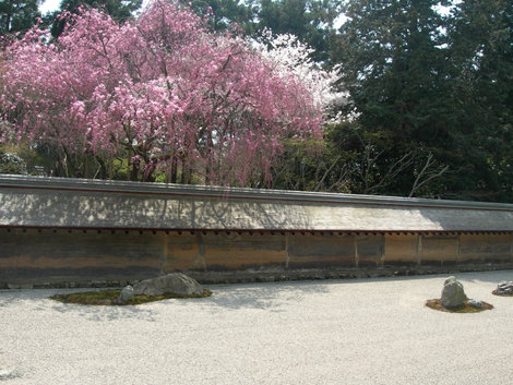 Сад камней Япония