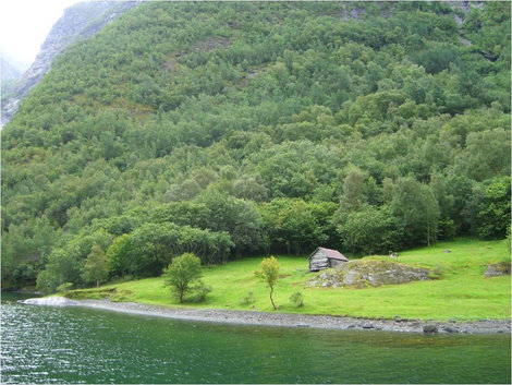 Зелень, зелень, зелень Неройфьорд, Норвегия