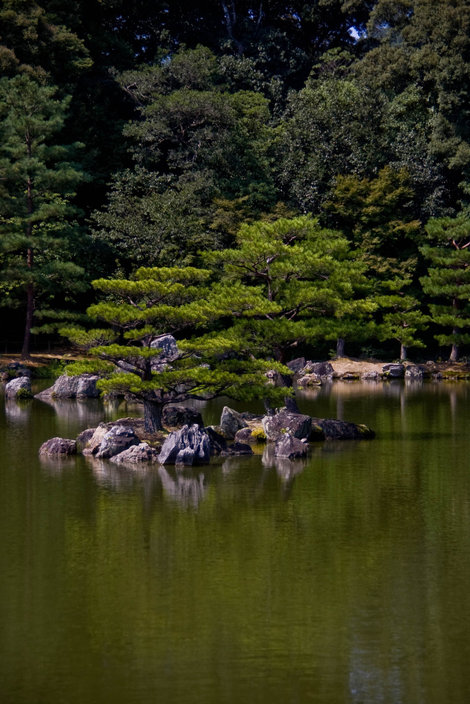 Островки на Зеркальном пруду Киото, Япония