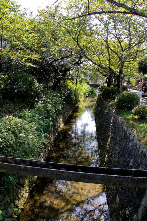 Философская тропа в Хигасияме Киото, Япония