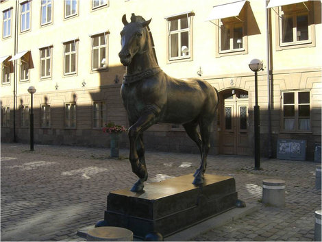 Коняга с другого ракурса Стокгольм, Швеция