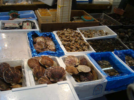 Цветение сакуры: Рыбный рынок Цукидзи. День пятый. Токио, Япония