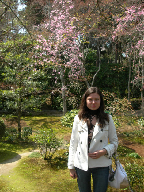 Цветение сакуры: Киото. День шестой. Киото, Япония