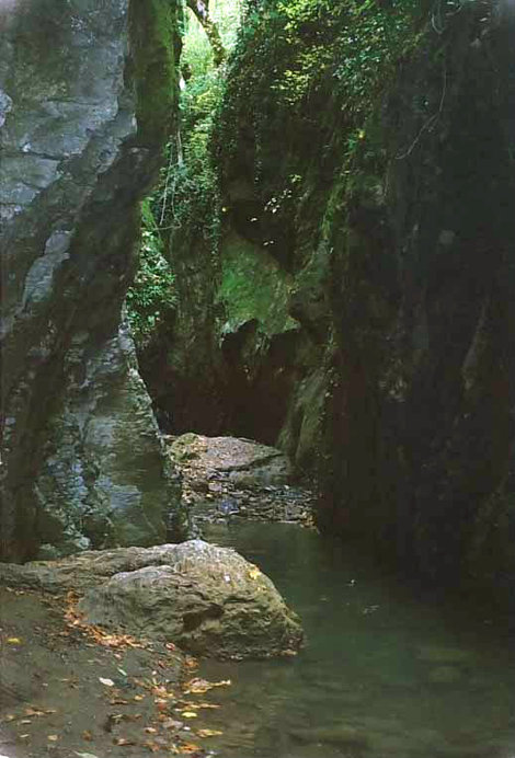 Ущелье реки Свирь