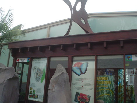 Музей бабочек Лас-Америкас, остров Тенерифе, Испания
