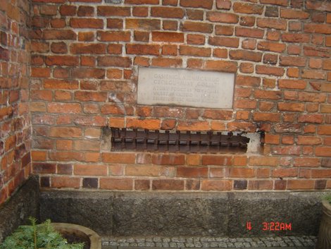 Гусеница в стене собора Варшава, Польша